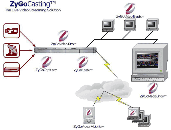 ZyGoCasting